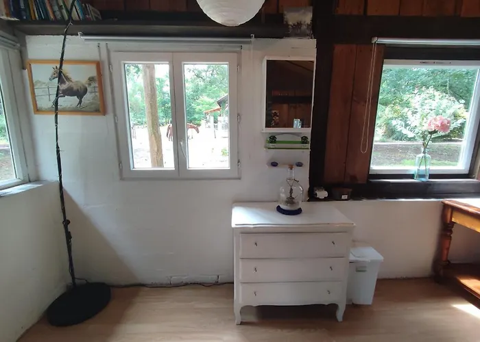 La Baraque Des Artistes Feriehus Laharie